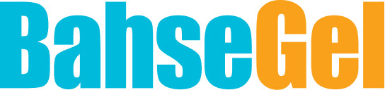 BAHSEGEL logo