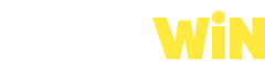 BoraWin logo